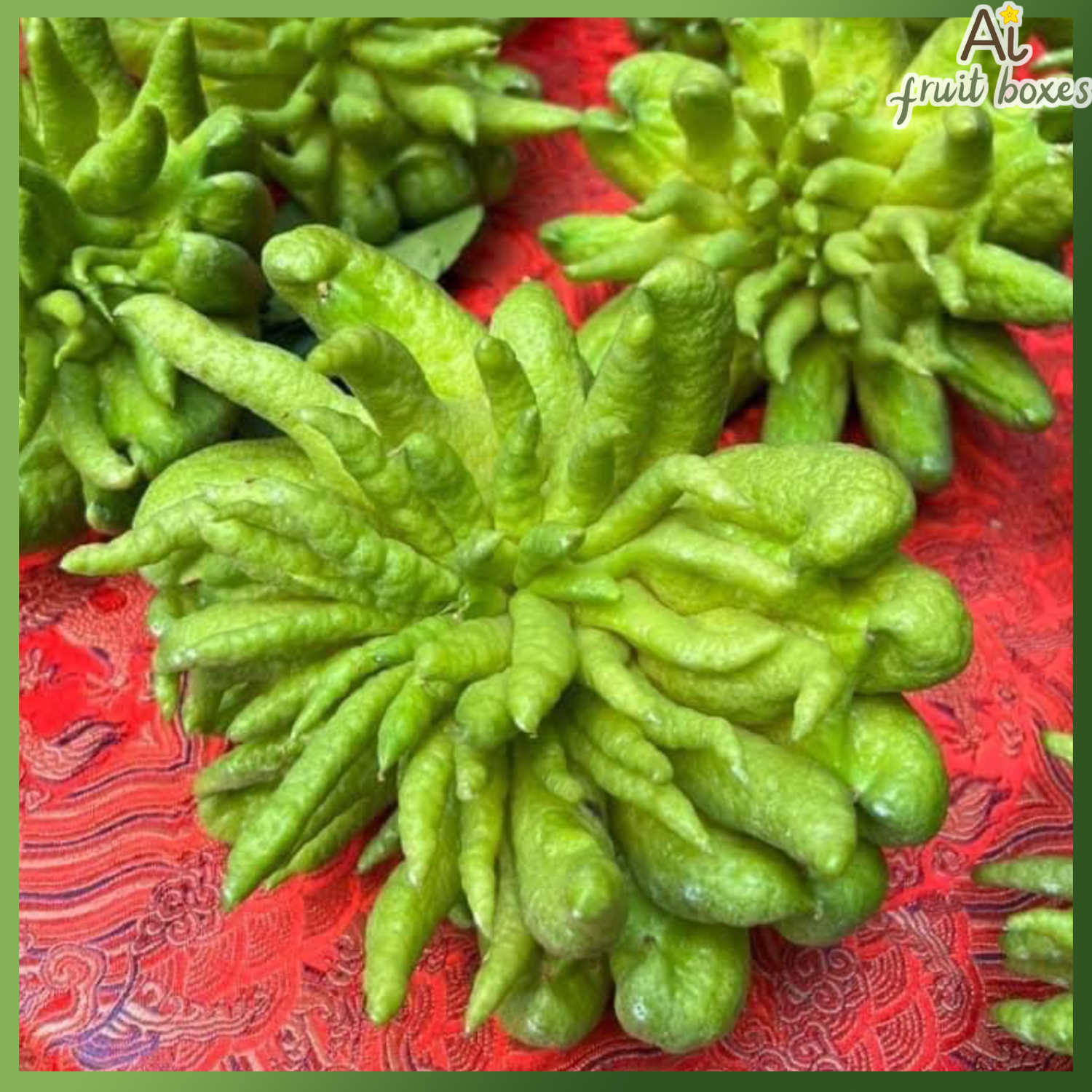 photo 2024 12 16T081707.443