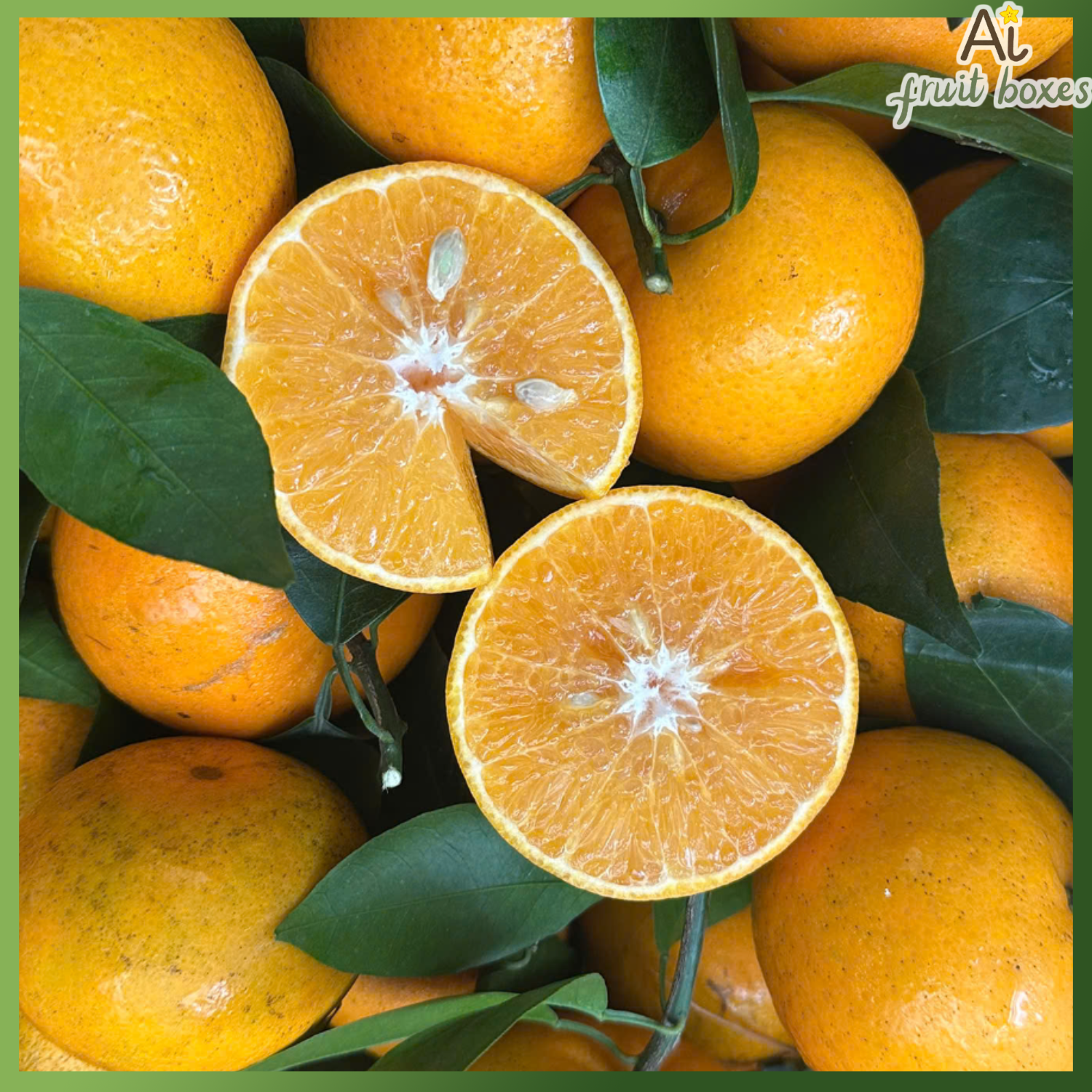 photo 2024 12 25T095100.810