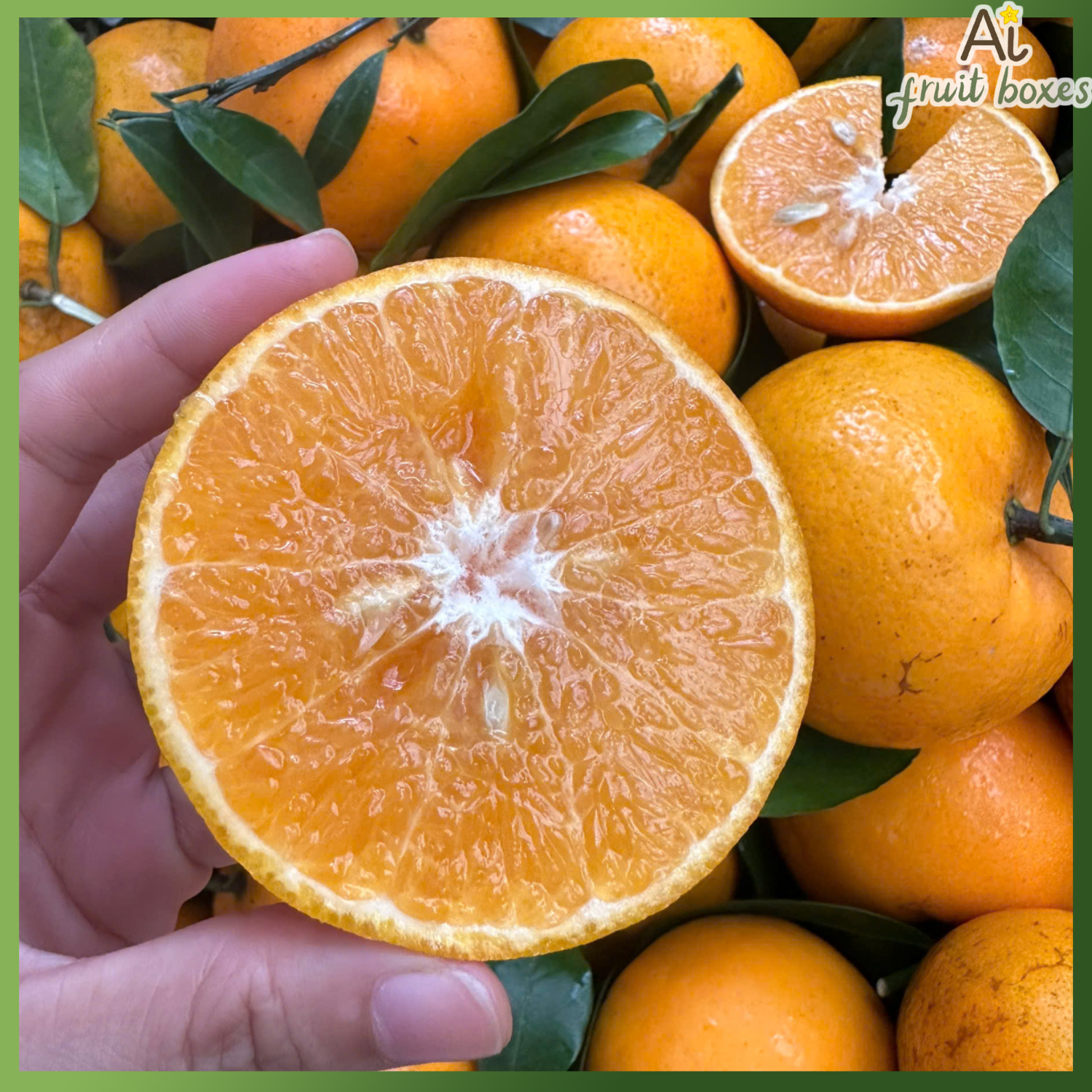 photo 2024 12 25T095157.318