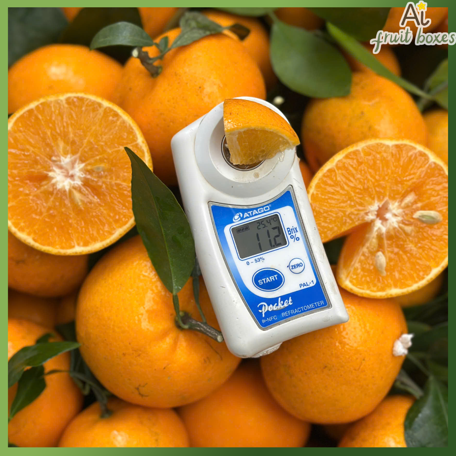 photo 2024 12 25T095229.612