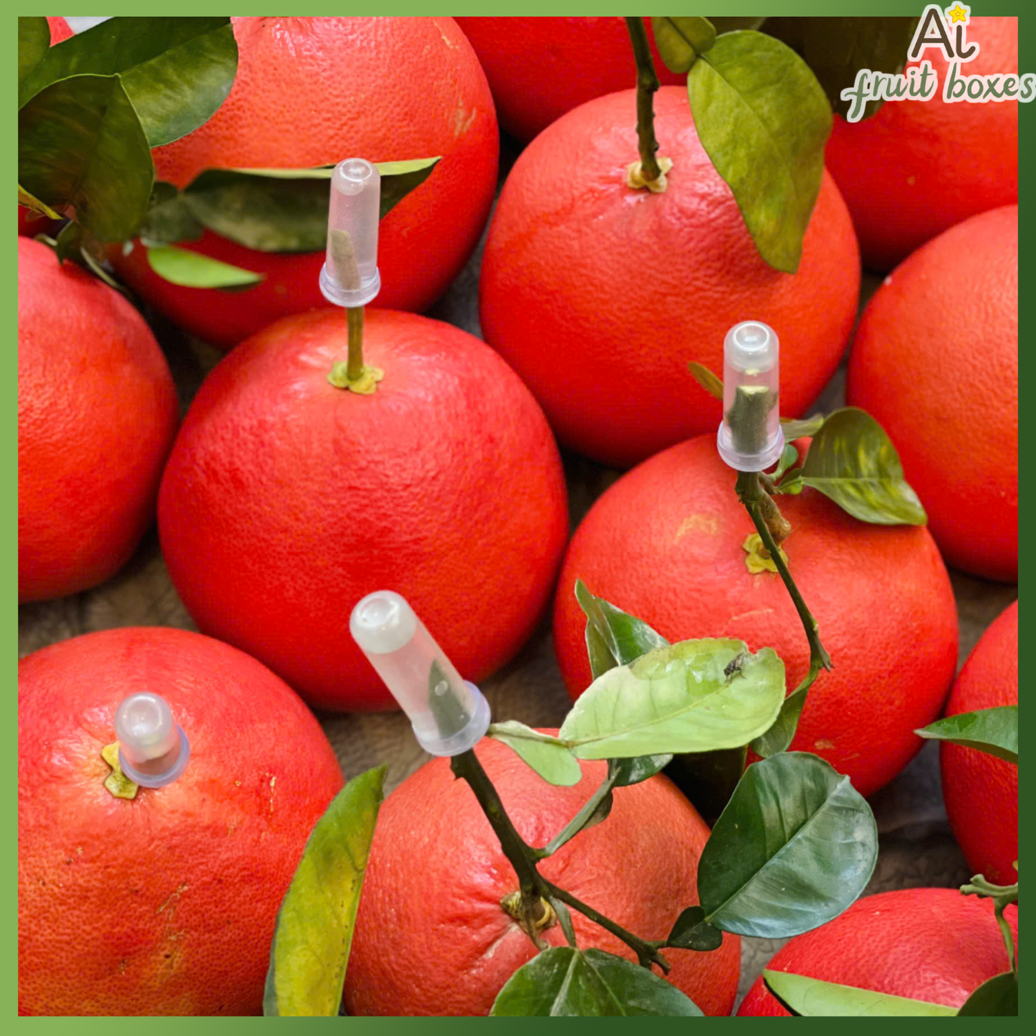 photo 2025 01 15T081423.973