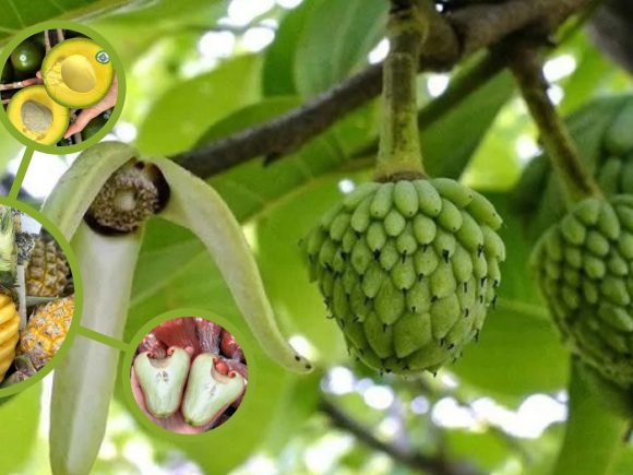 Tác động của biến đổi khí hậu đối với nền nông nghiệp