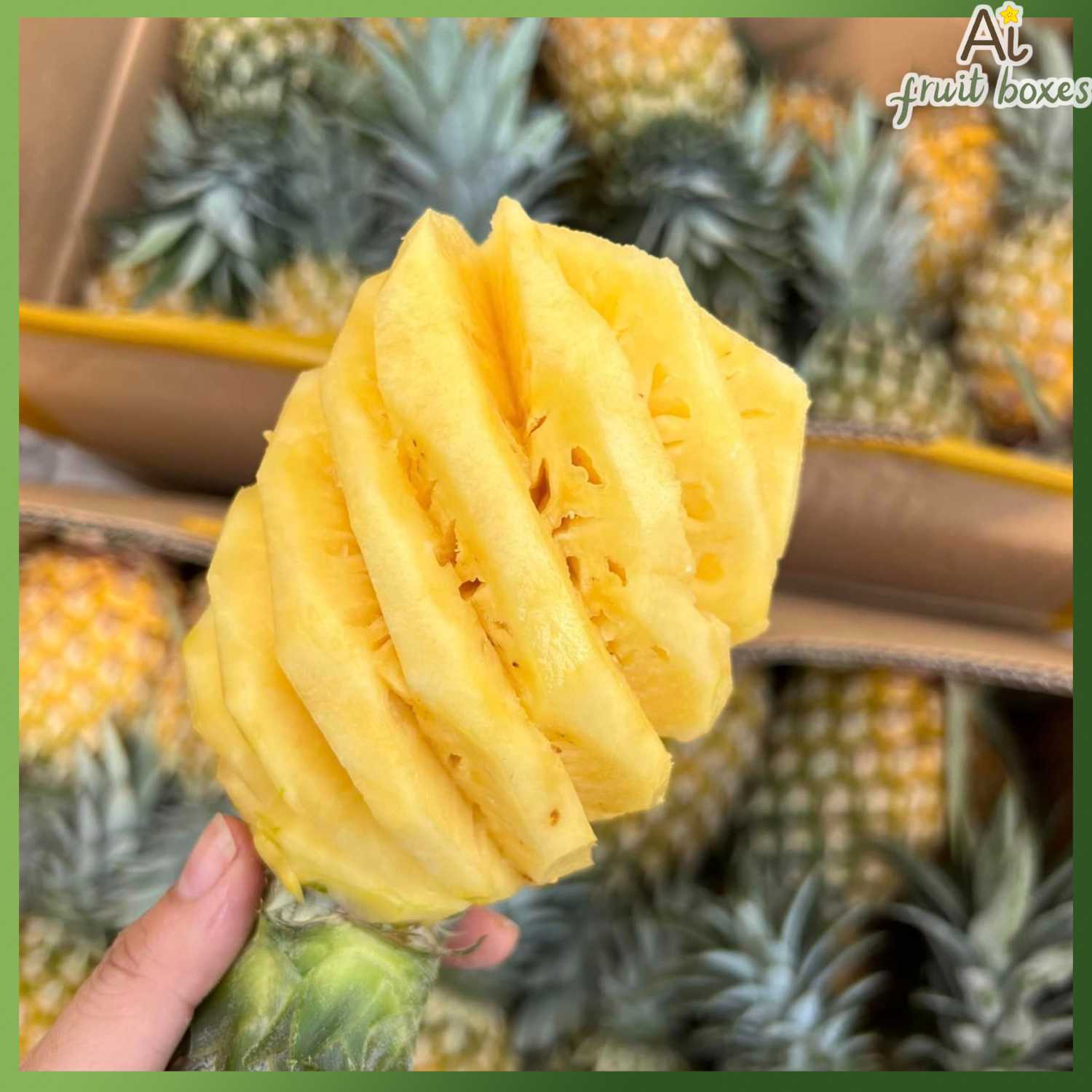 photo 2025 04 02T075521.450