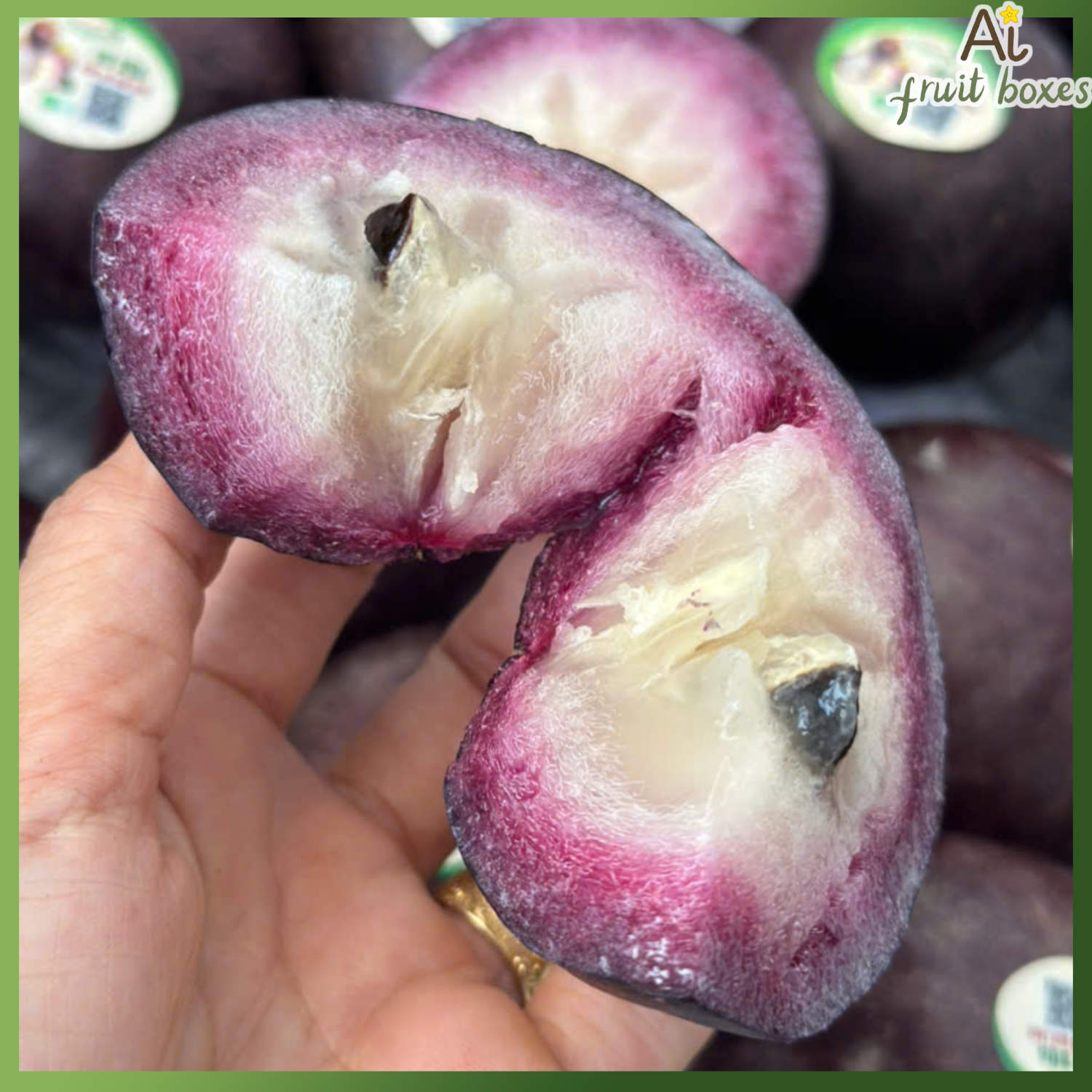 photo 2025 04 02T080028.680