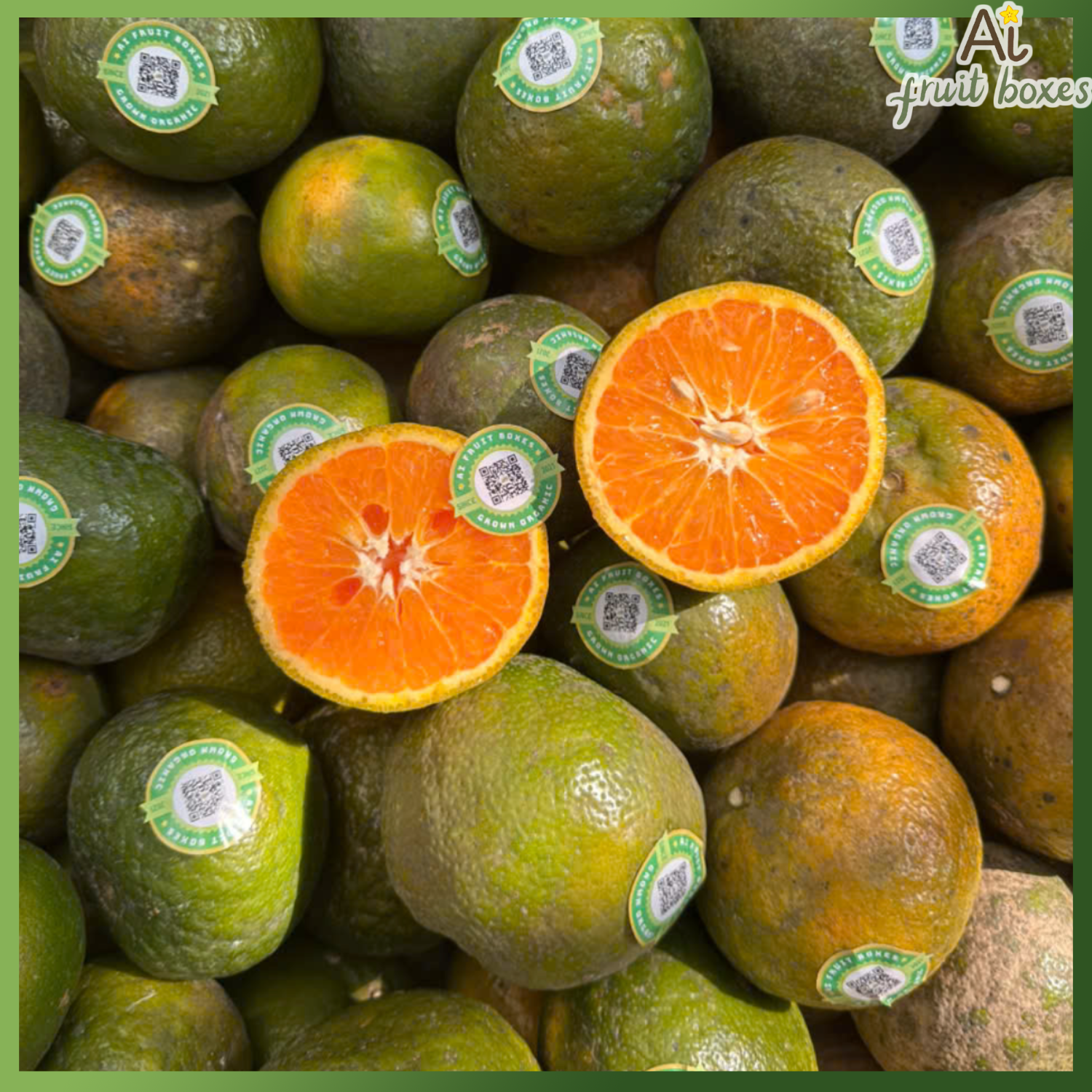 photo 2024 09 11T102422.144