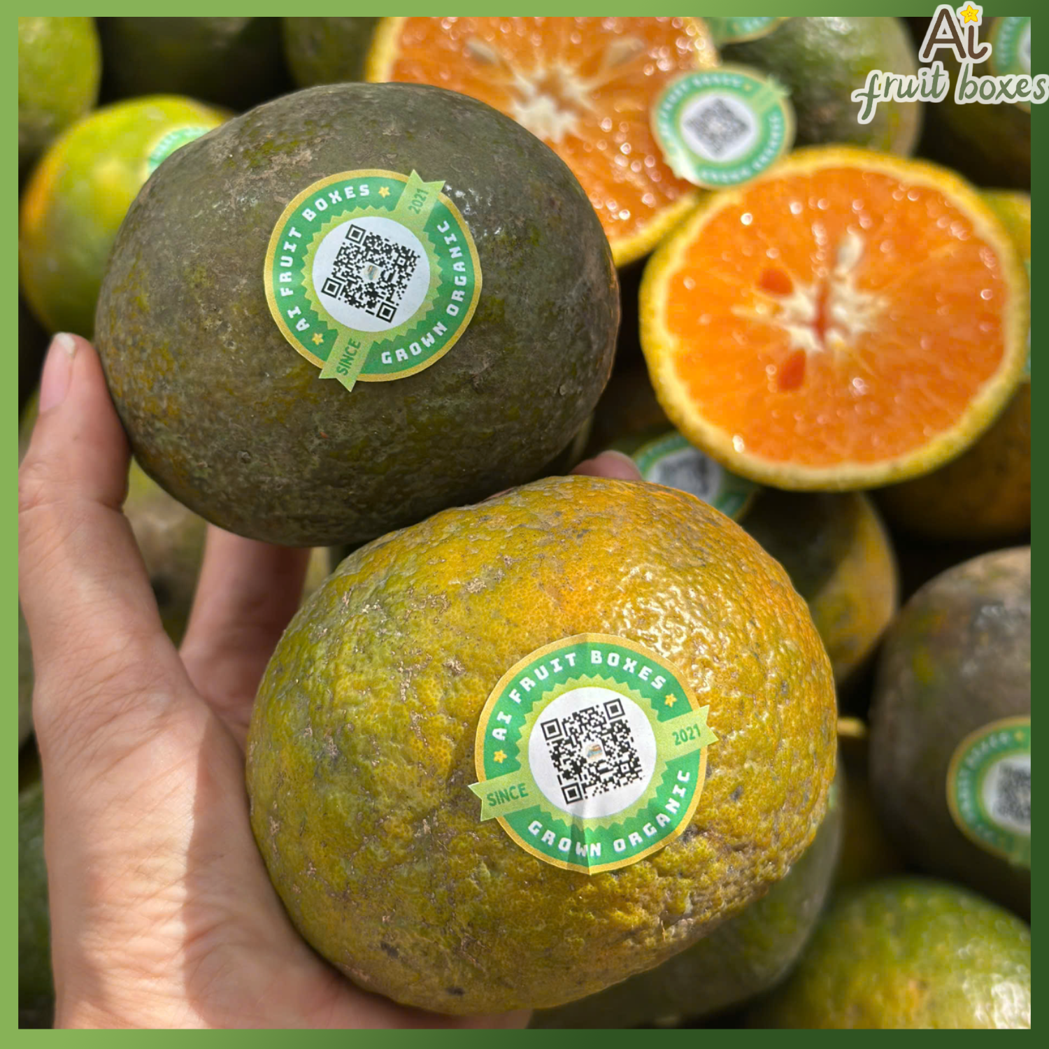 photo 2025 03 24T141022.932