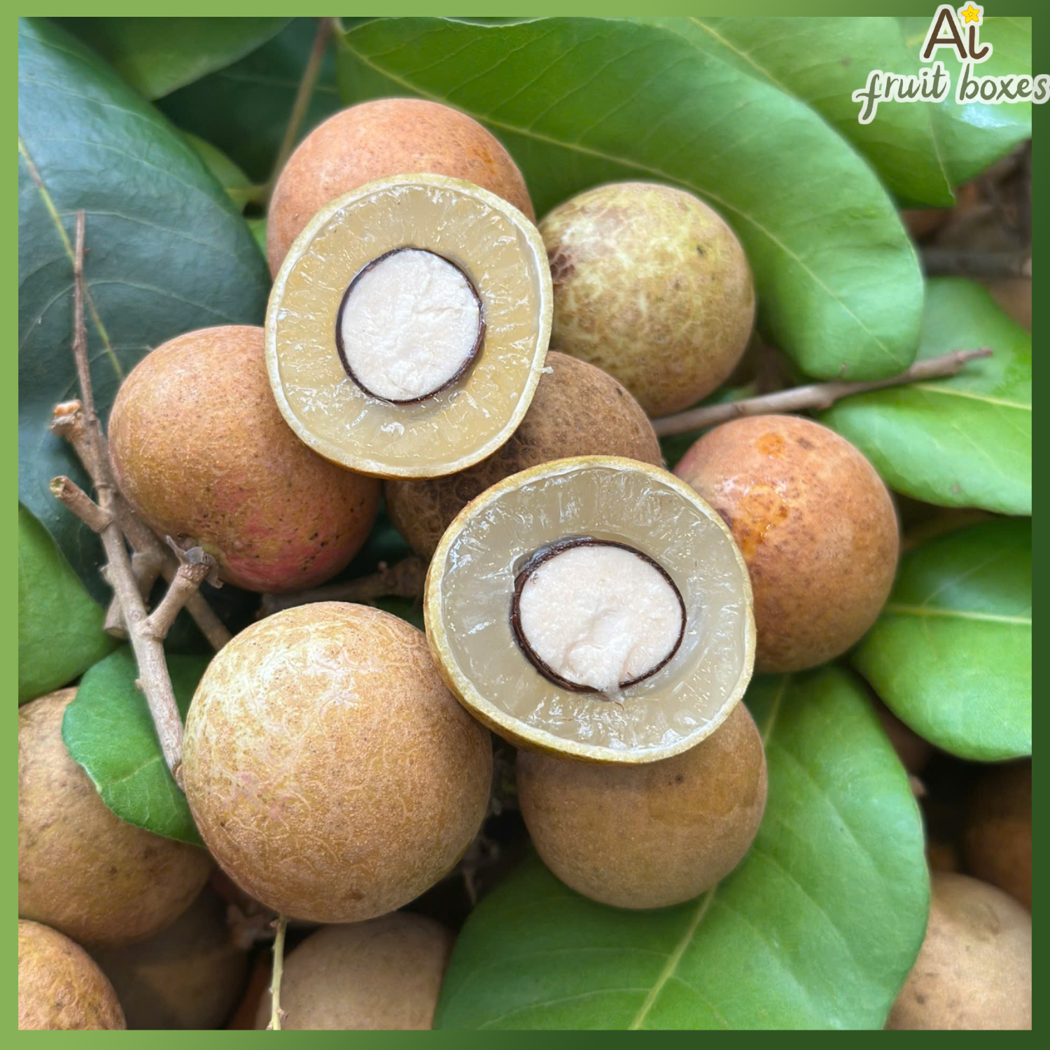 photo 2025 04 02T072725.814