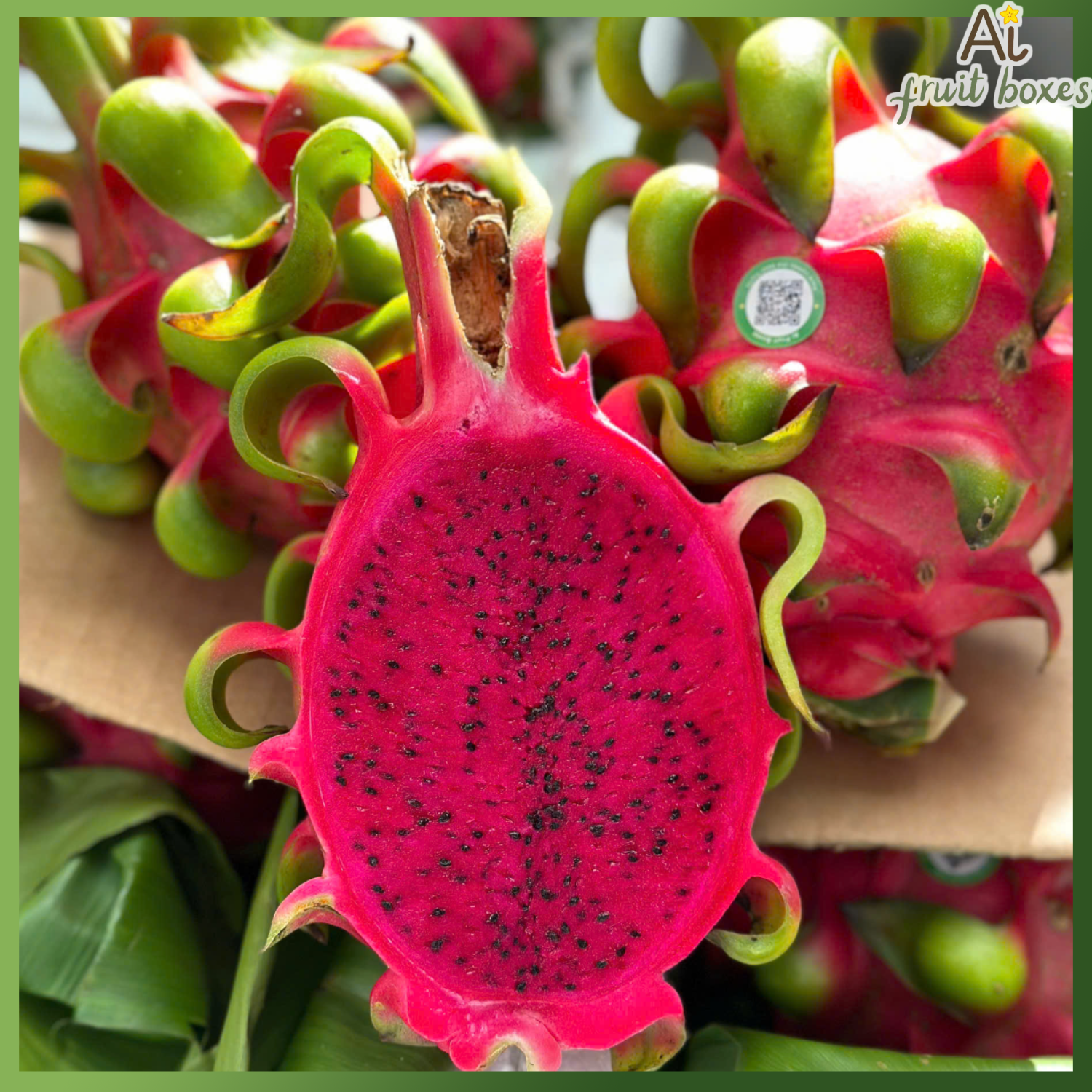 photo 2025 04 02T101031.174