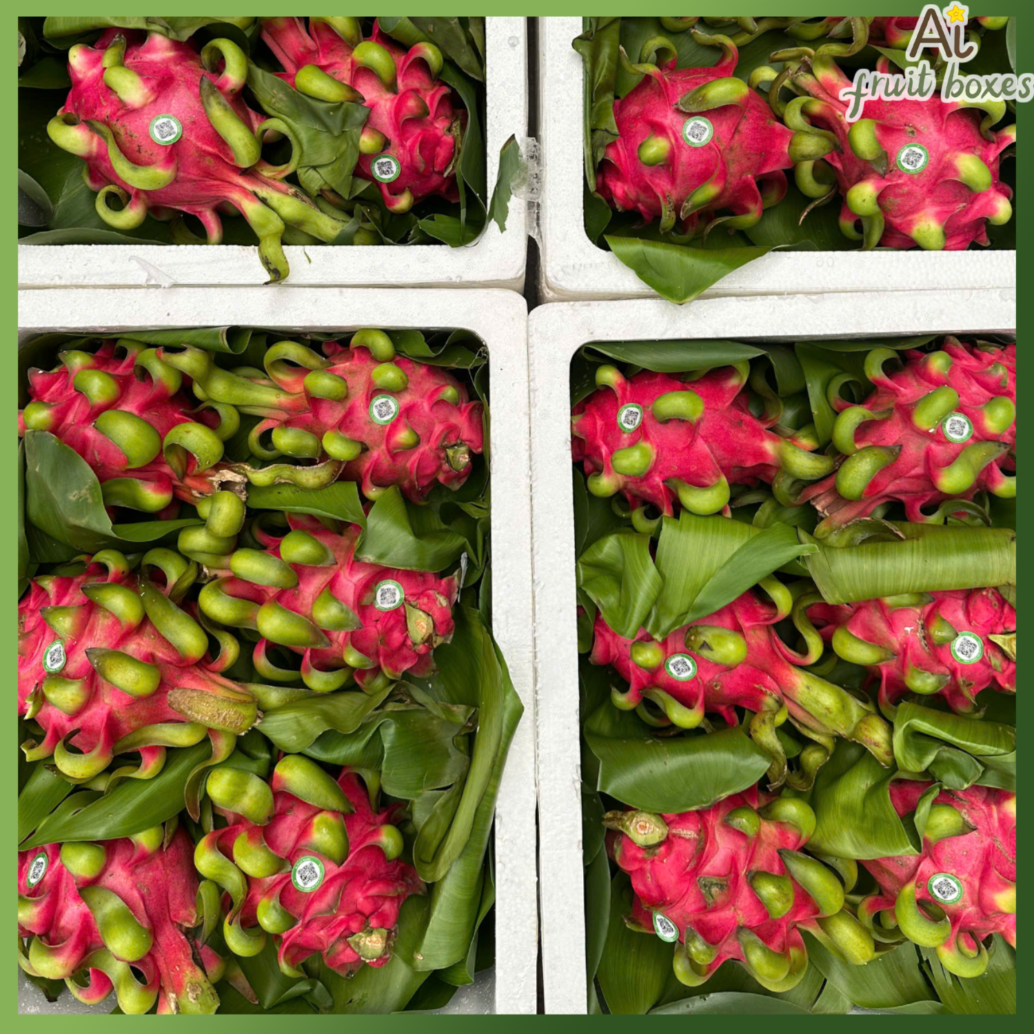 photo 2025 04 02T101056.184