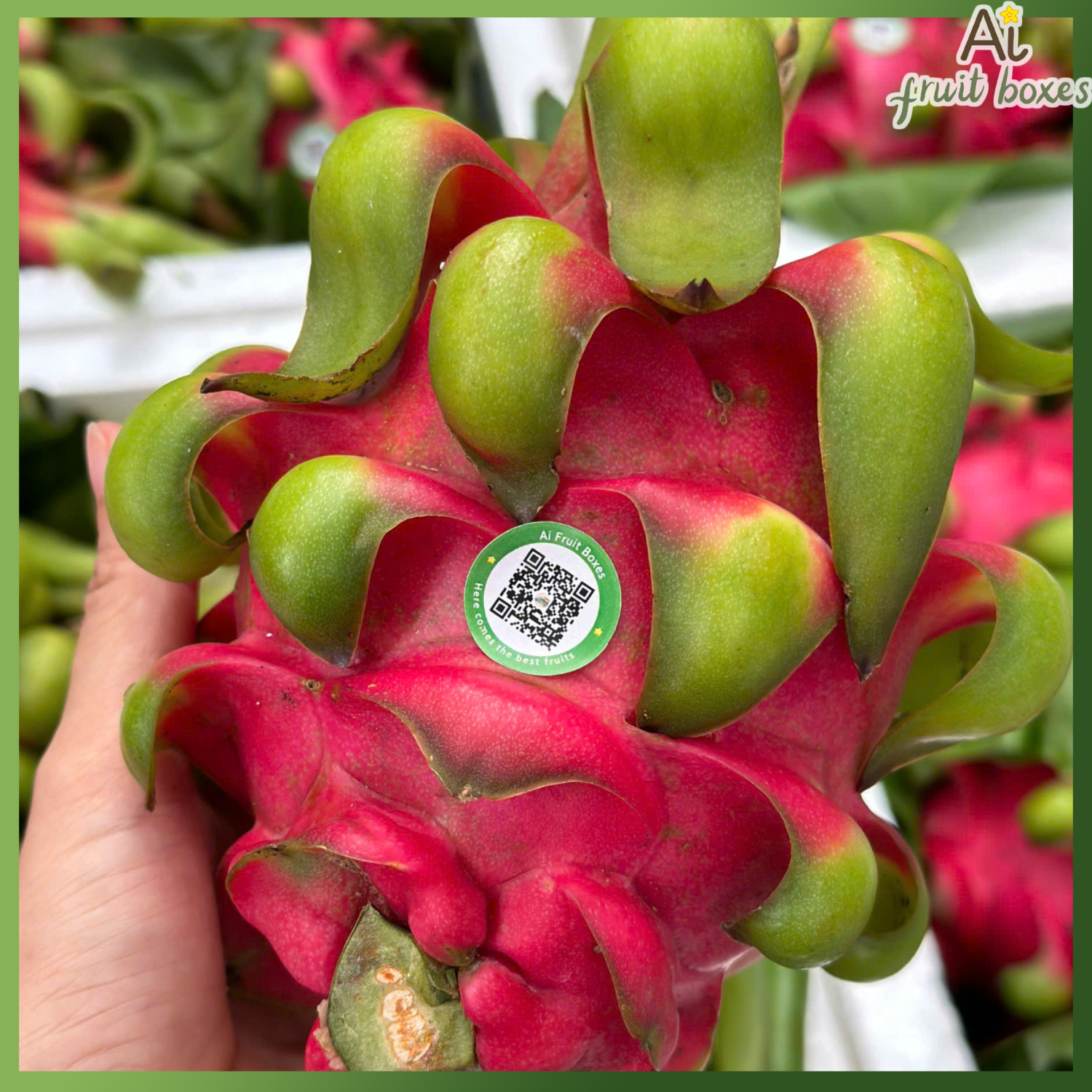 photo 2024 08 03T104105.944