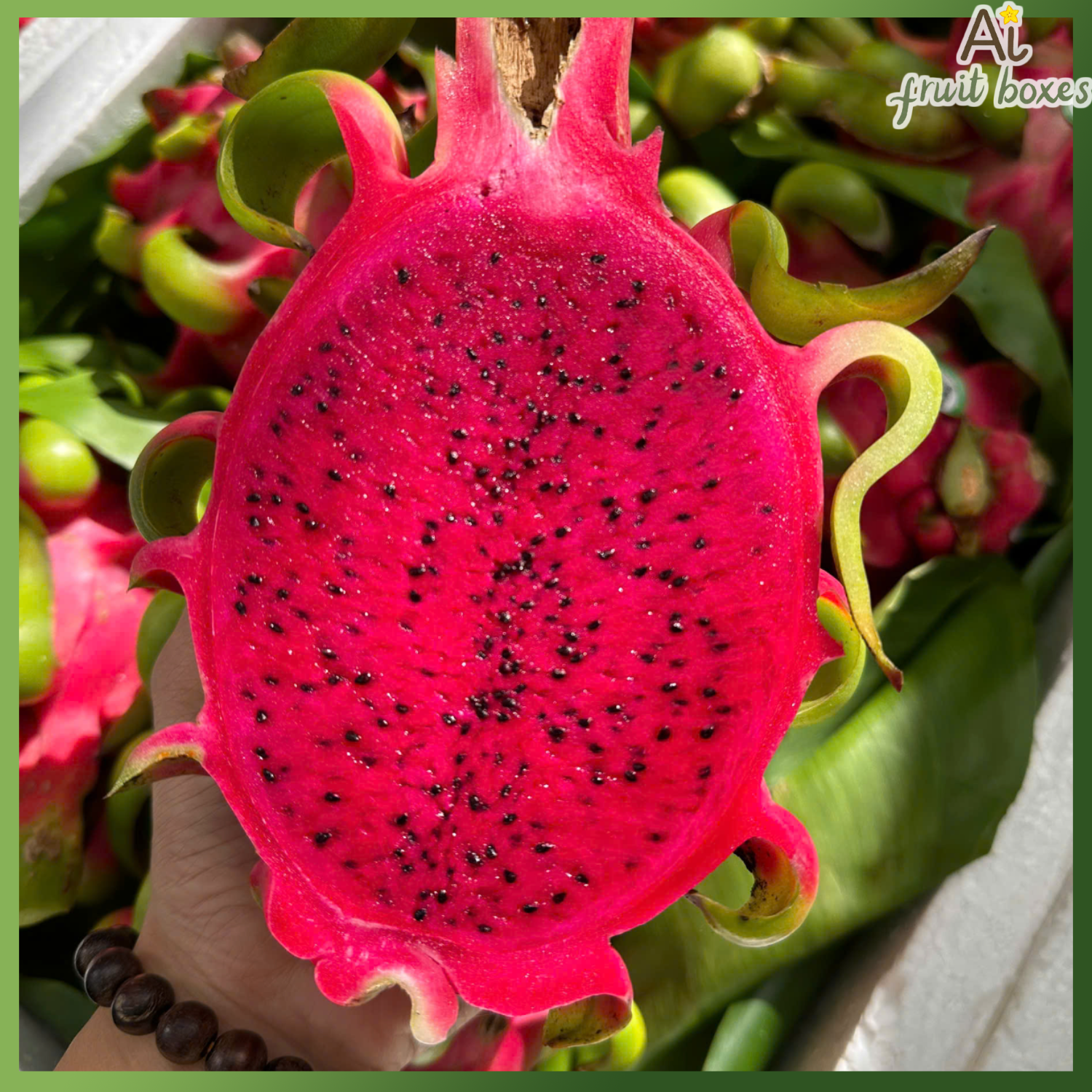 photo 2025 04 02T101135.871