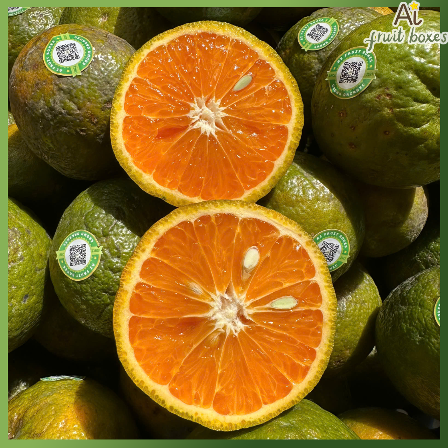 photo 2025 04 02T102726.144