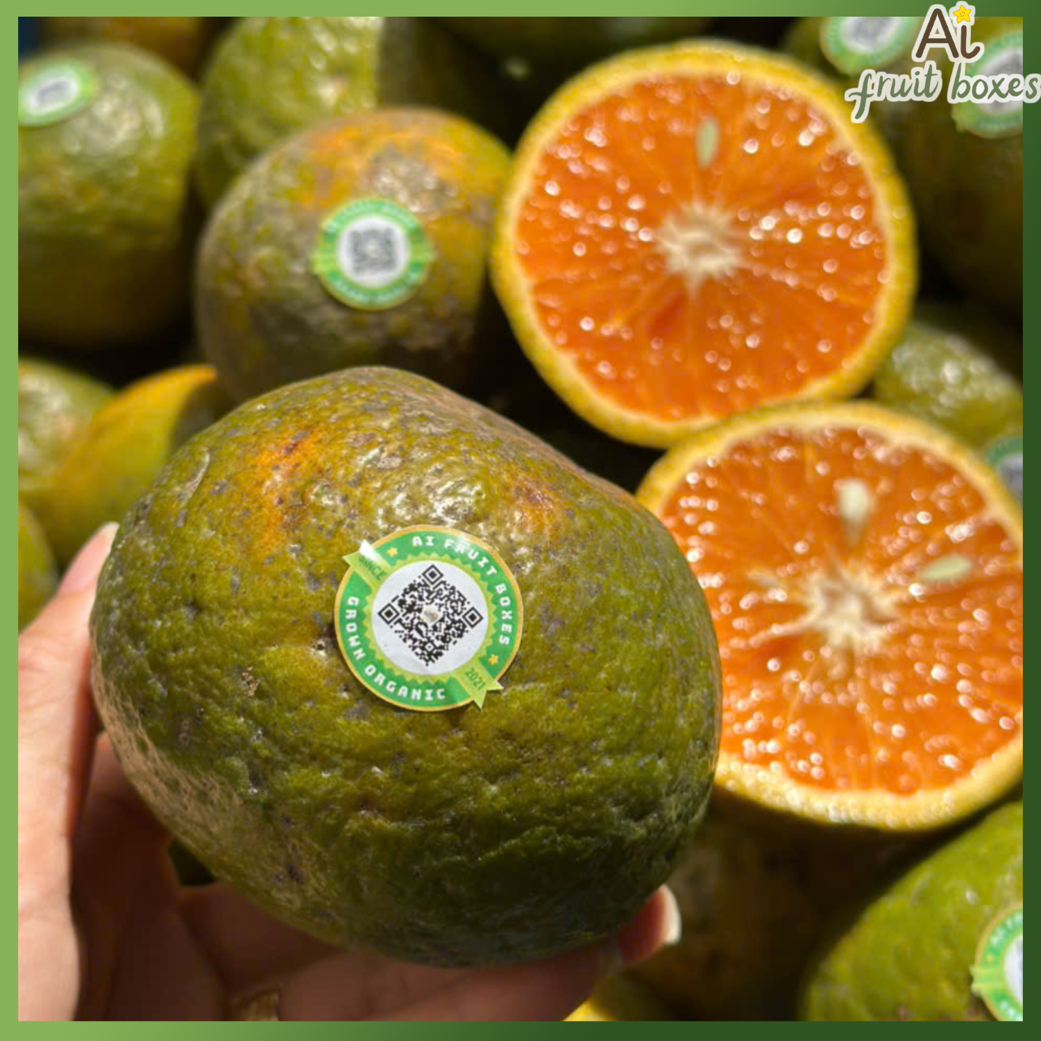 photo 2024 09 27T134318.468