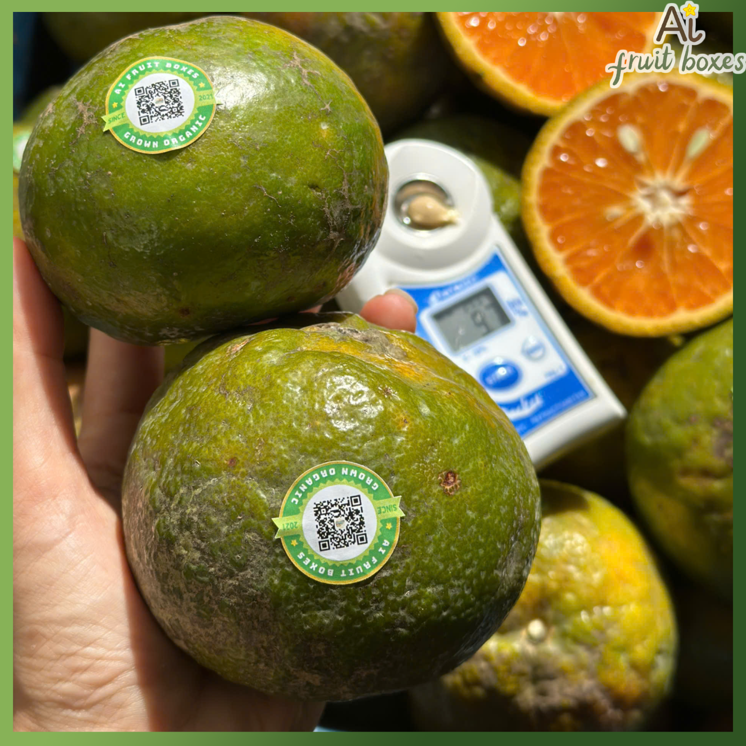 photo 2025 04 02T102813.474