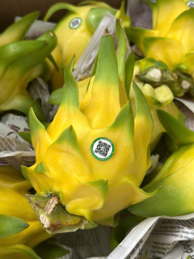 Thanh long vàng chuyển đổi hữu cơ