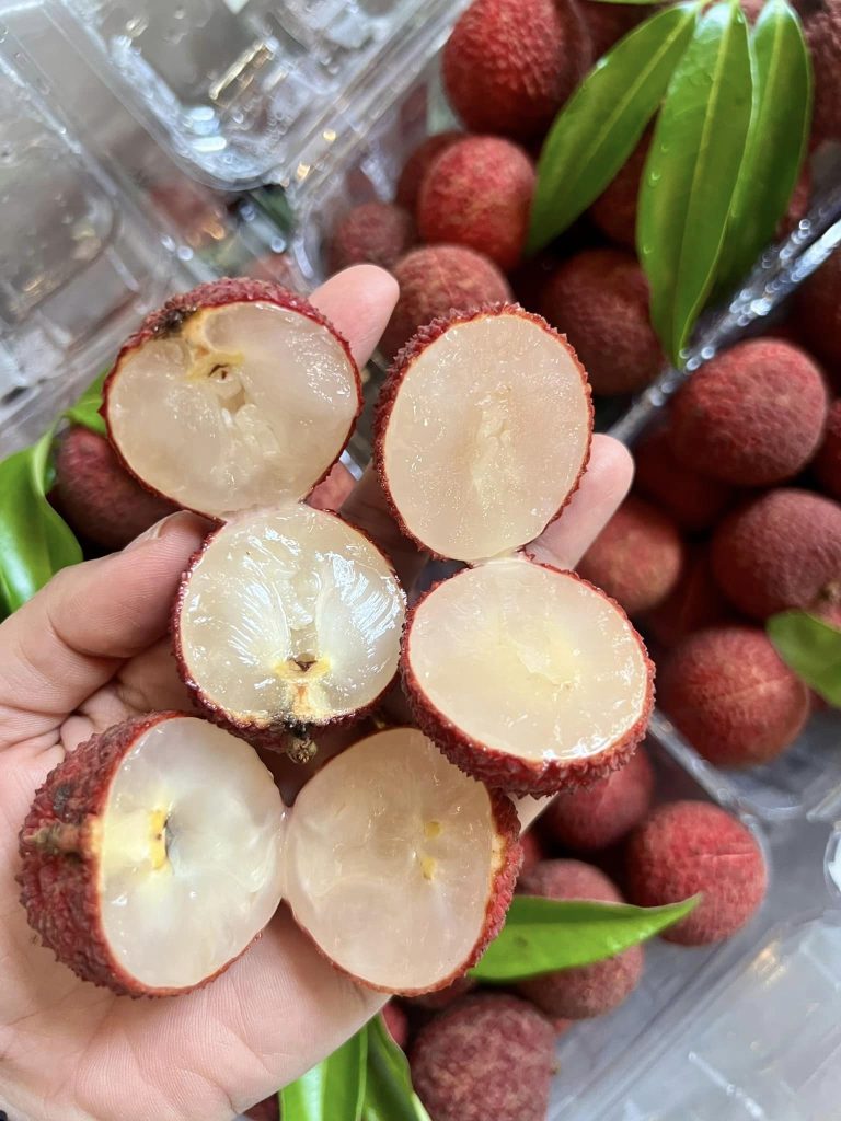 Vải ngọc (vải thiều không hạt)