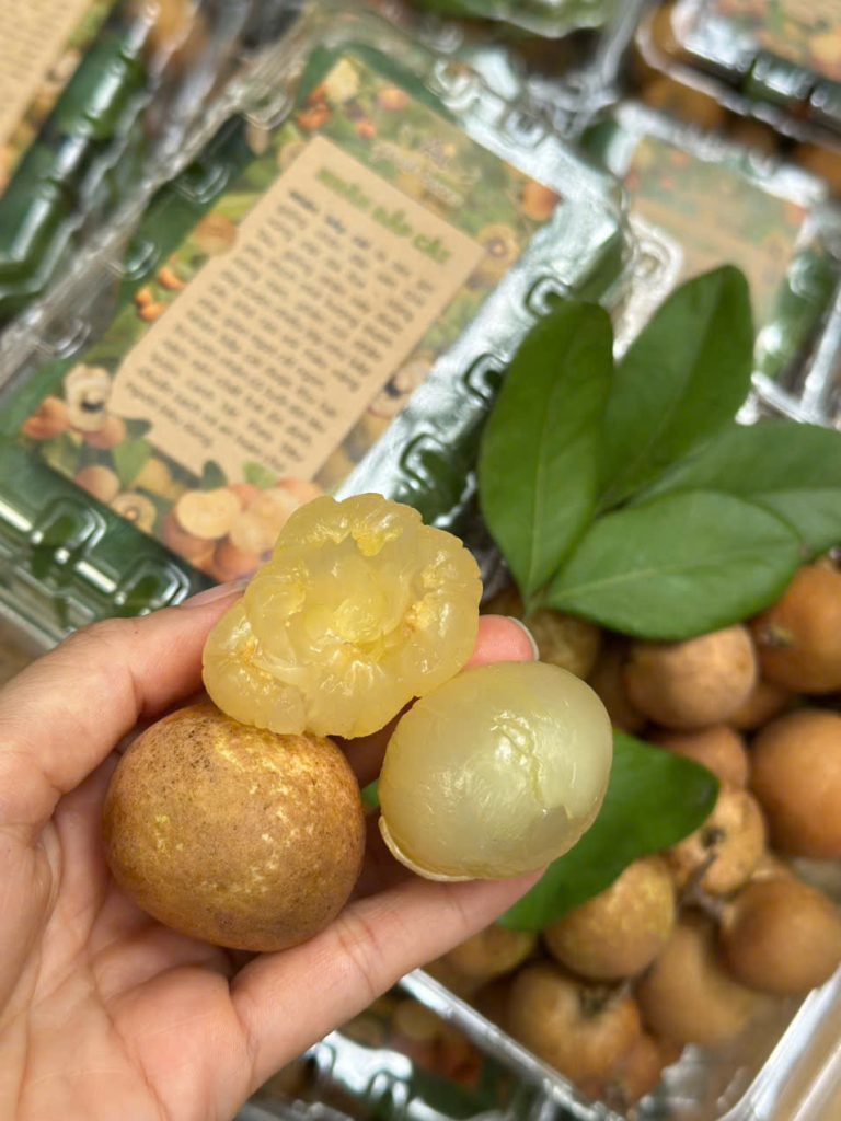 Nhãn bắp cải canh tác an toàn