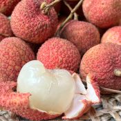 Vai Trung Hung Yen (10)