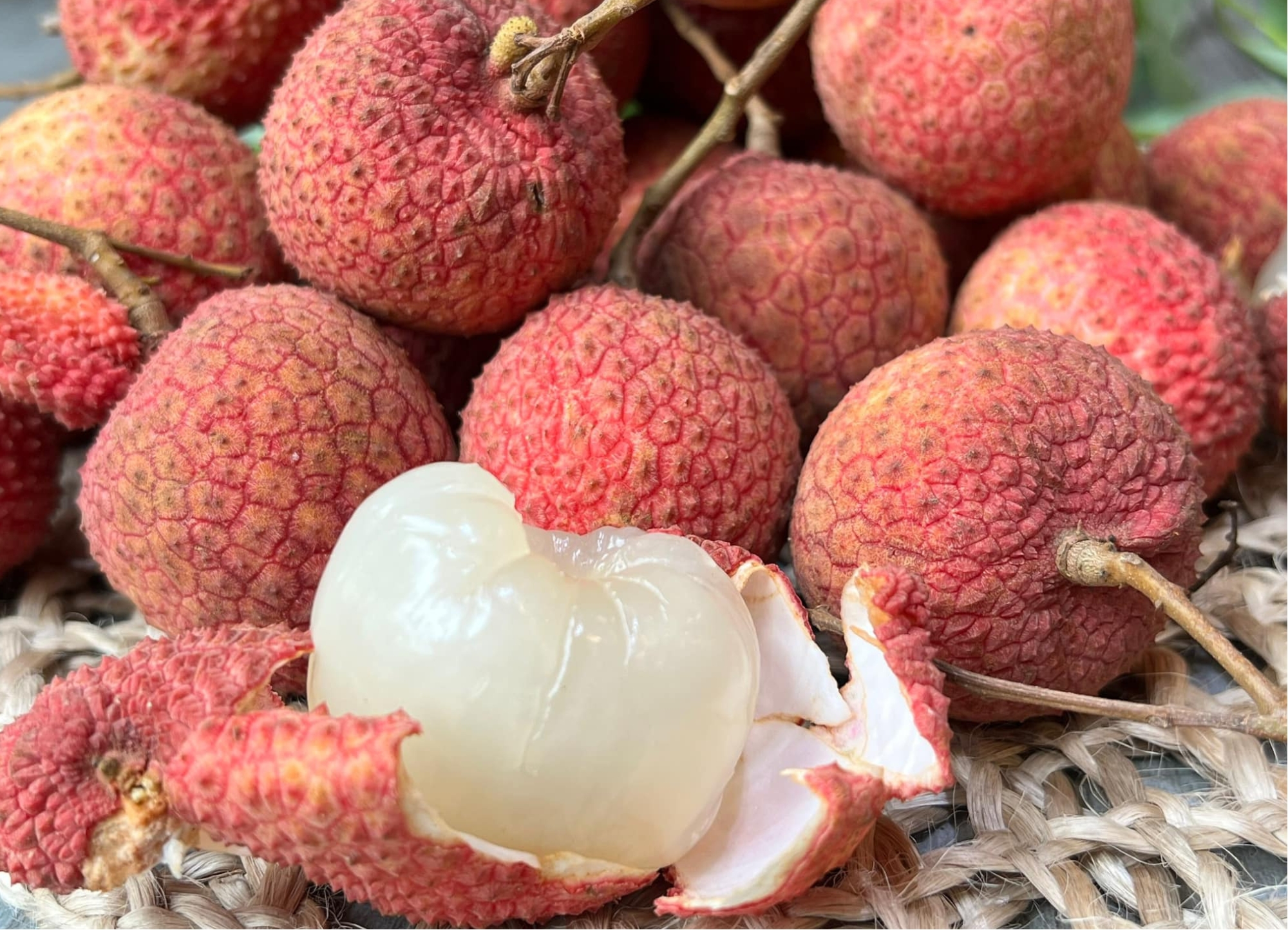 Vai Trung Hung Yen (10)