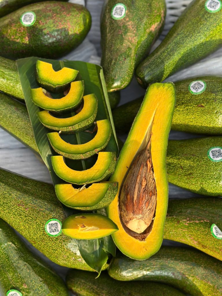 Bơ 5 Lóng canh tác an toàn