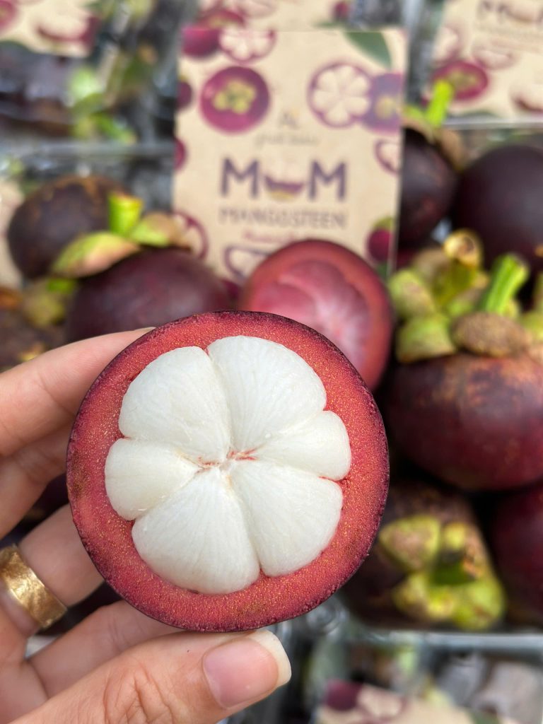 Măng cụt Lái Thiêu canh tác an toàn