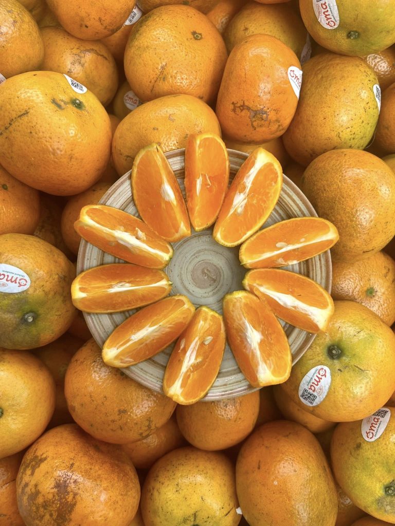 Quýt Oma Global GAP