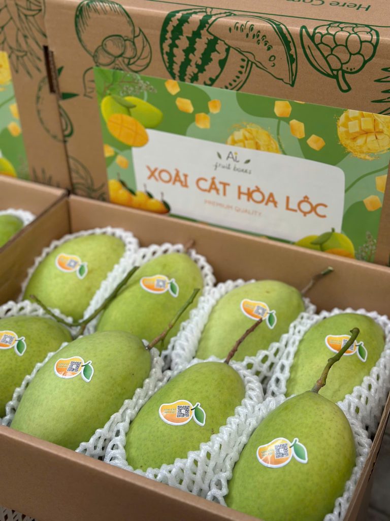 Xoài cát Hoà Lộc chuyển đổi hữu cơ