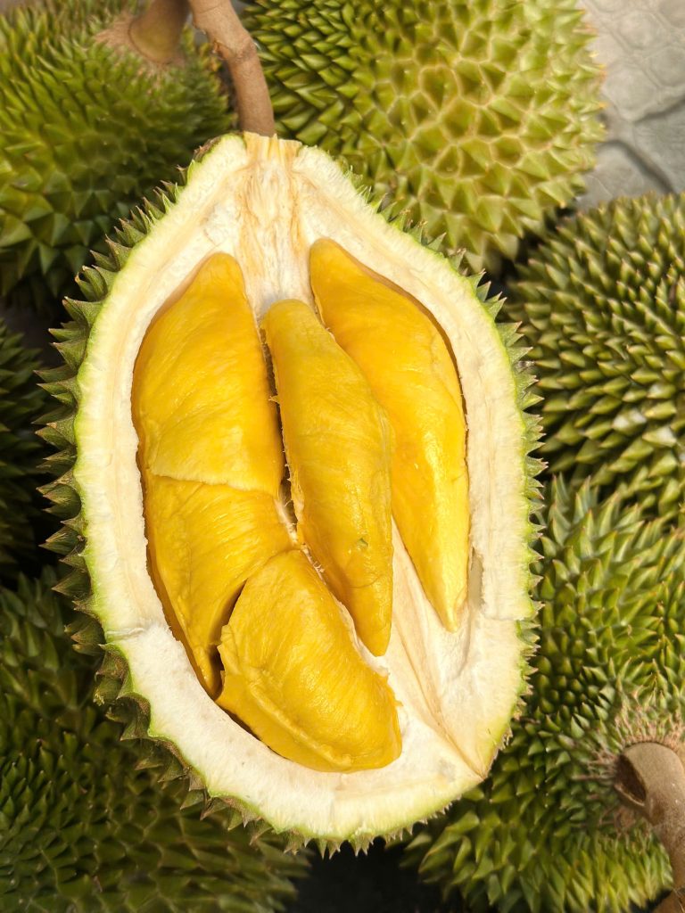 Sầu riêng MusangKing canh tác an toàn