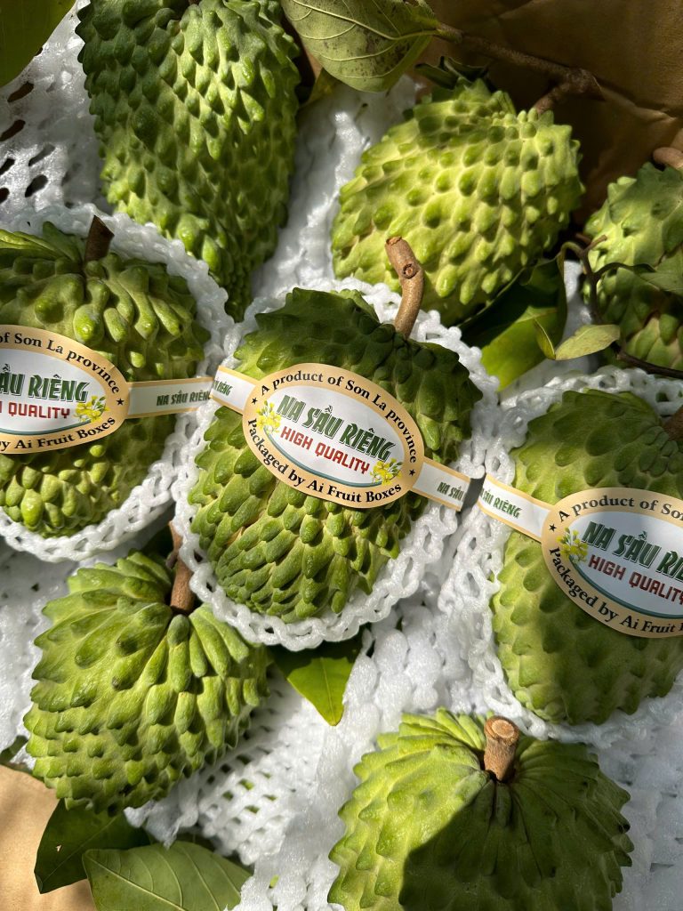 Na sầu riêng canh tác an toàn