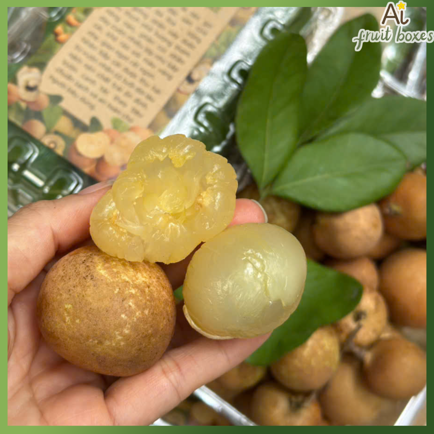 photo 2025 05 20T072319.016