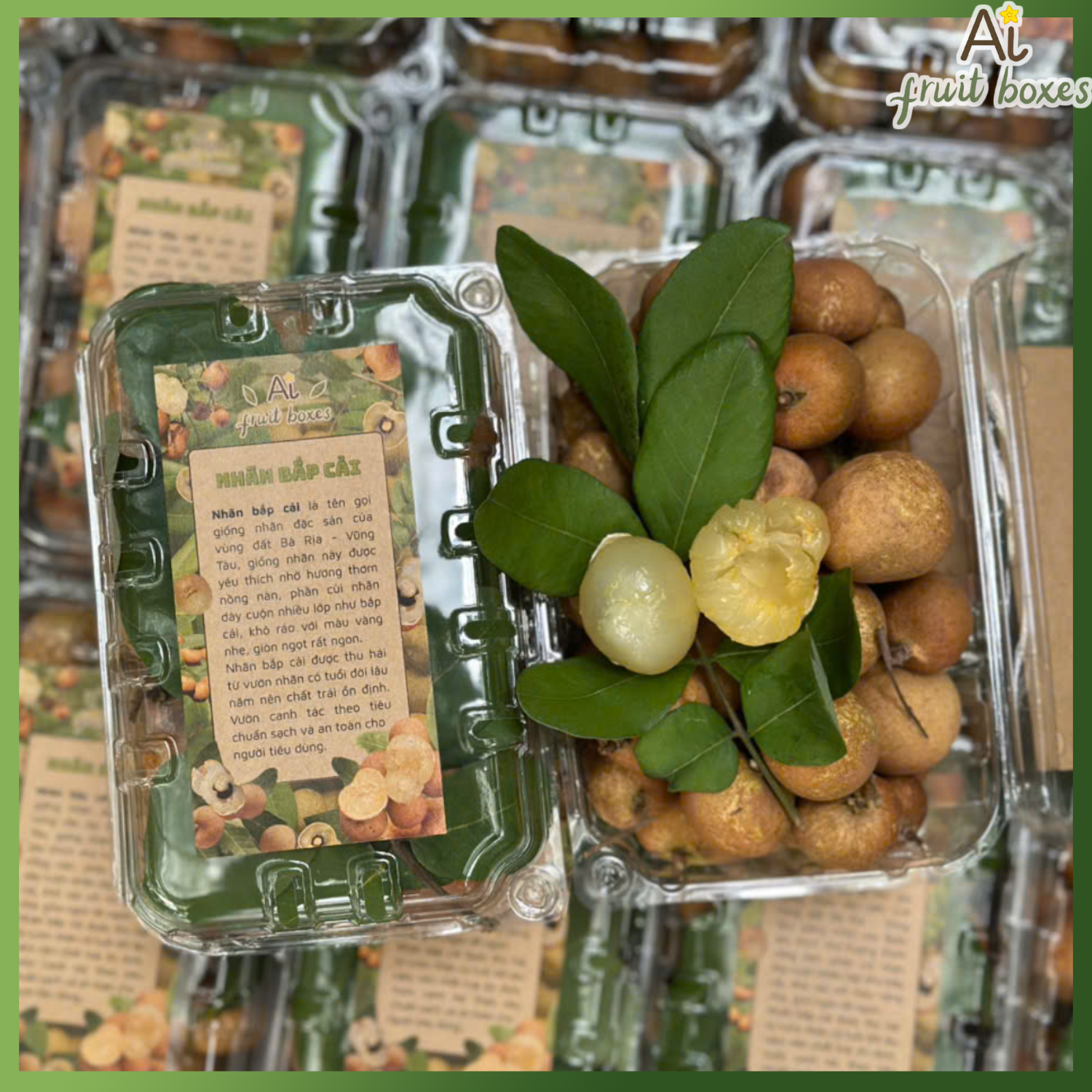 photo 2025 05 20T072412.223