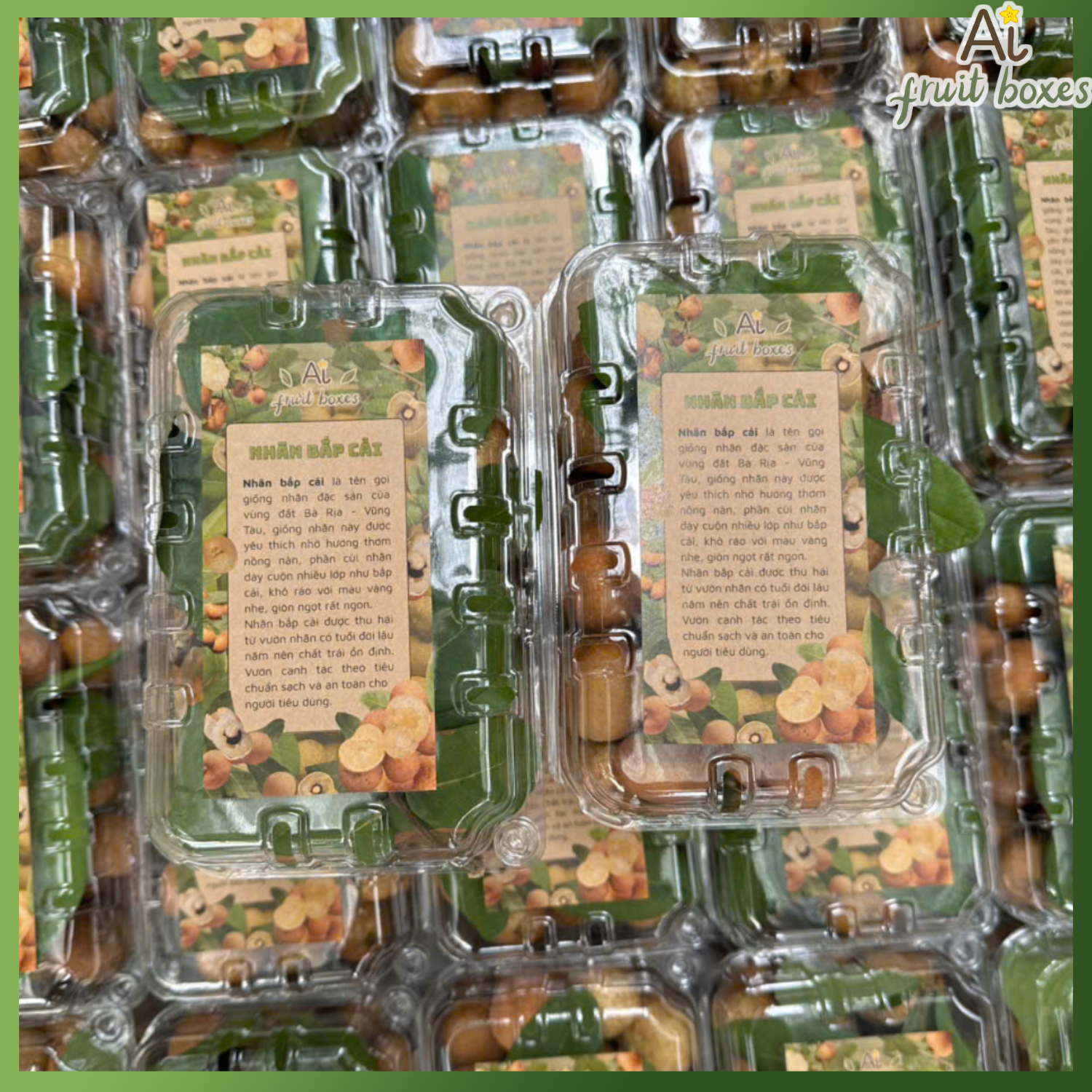 photo 2025 05 20T072439.156