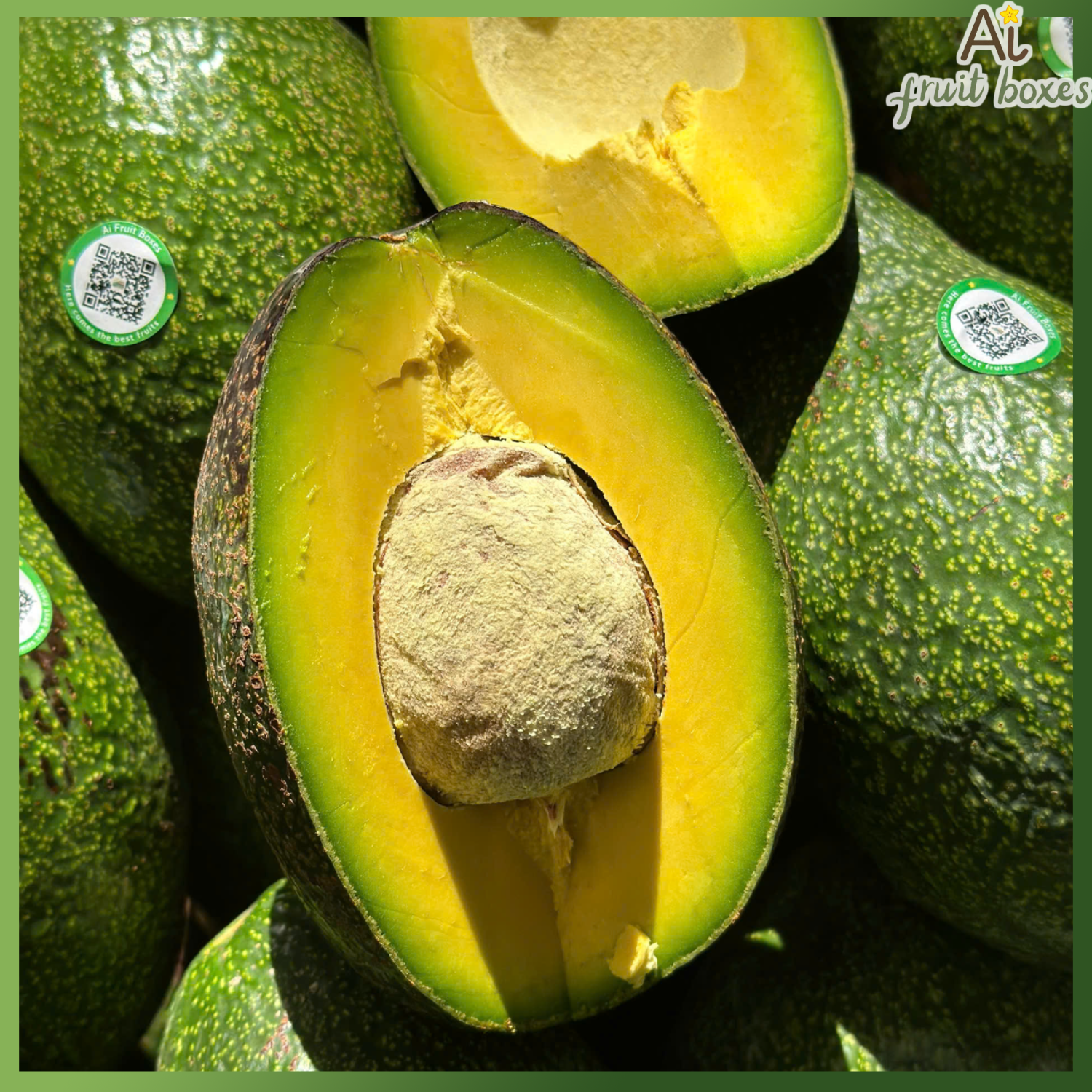 photo 2025 05 20T074209.007