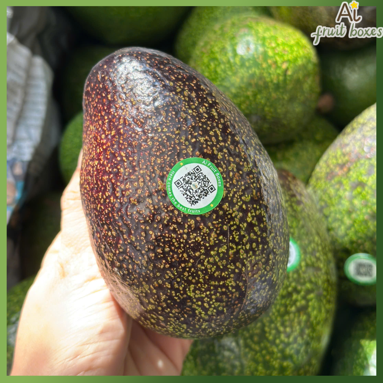 photo 2024 09 27T133336.424