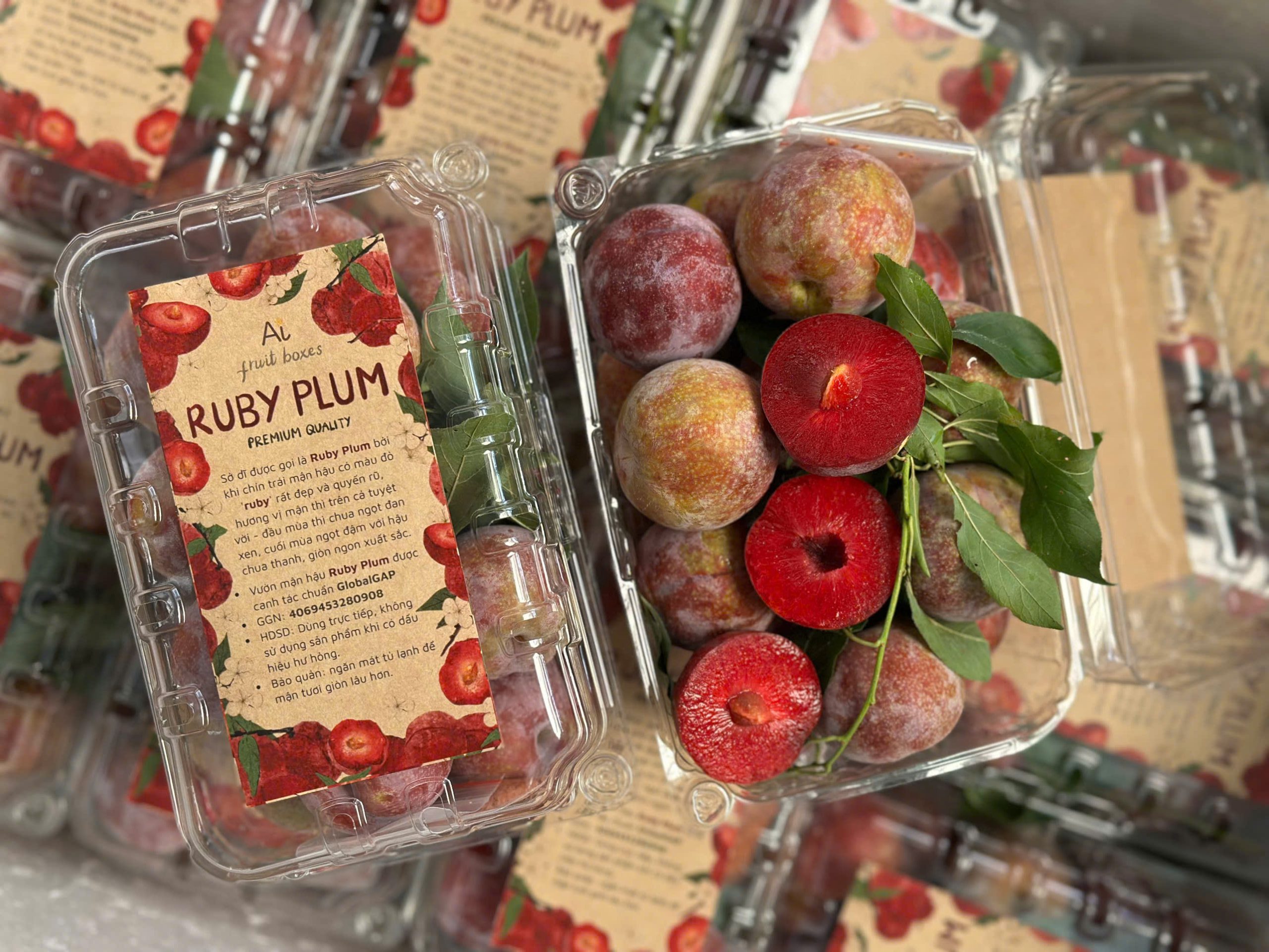 photo 2025 06 05T090731.339