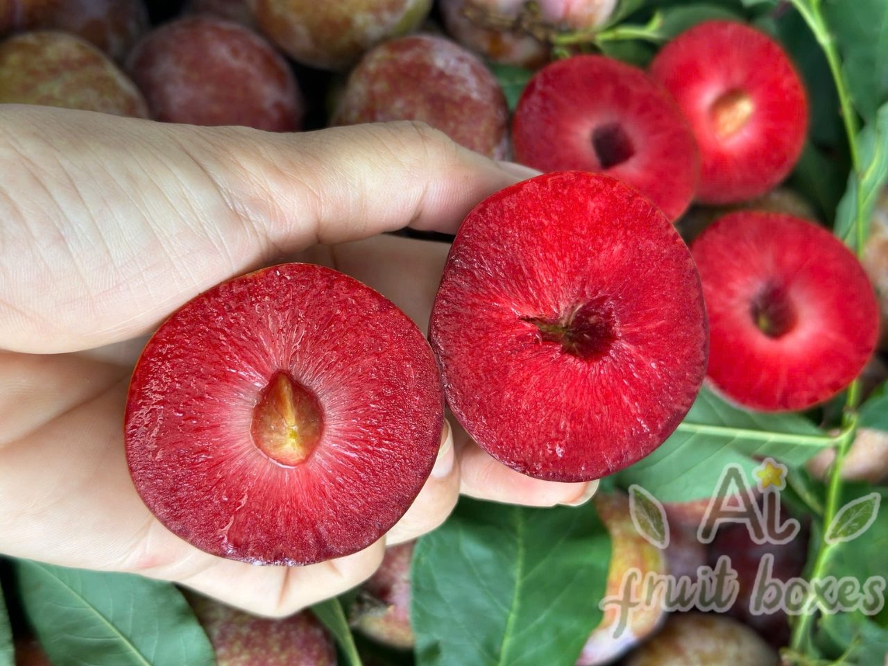 photo 2025 06 05T072639.616