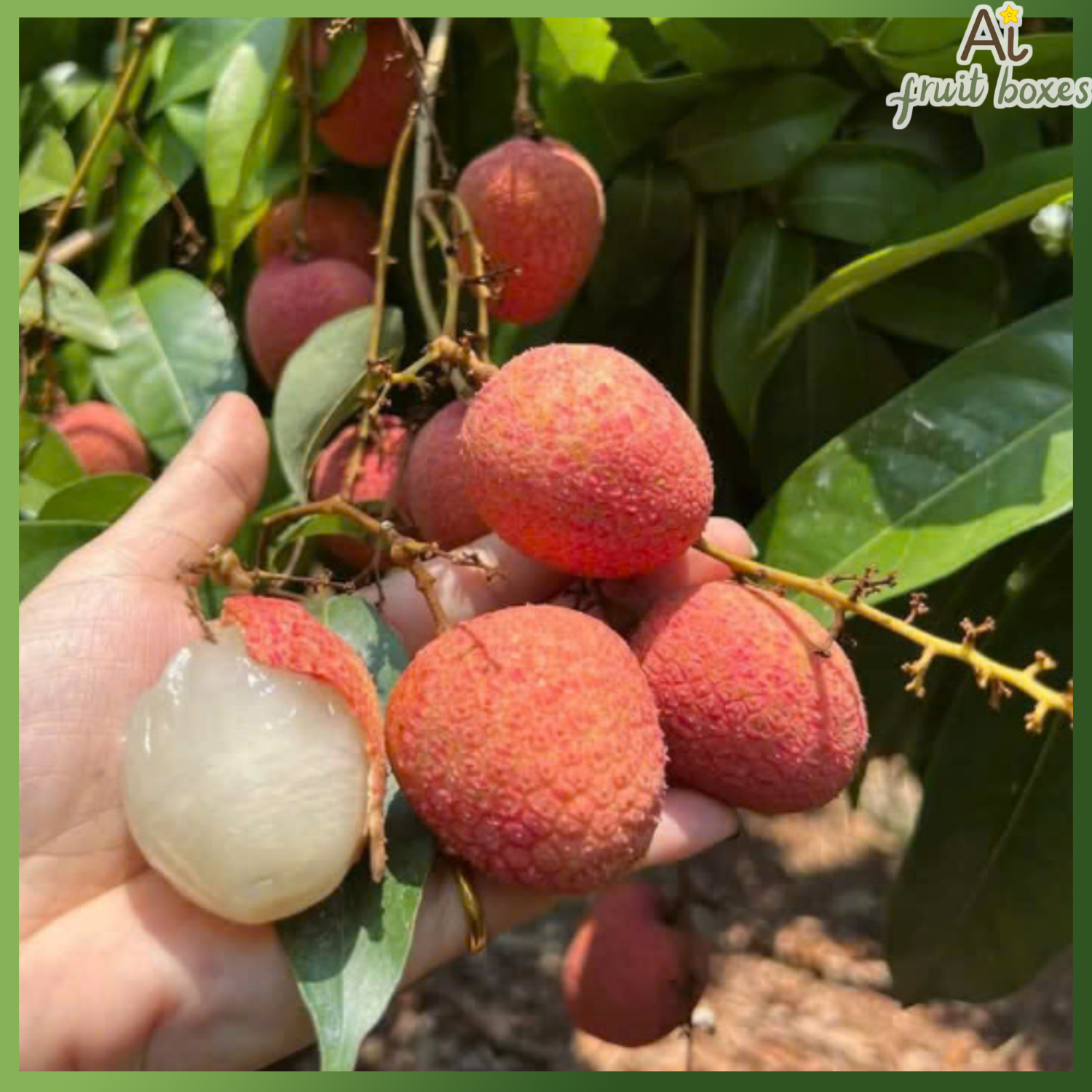 photo 2025 06 05T072732.500