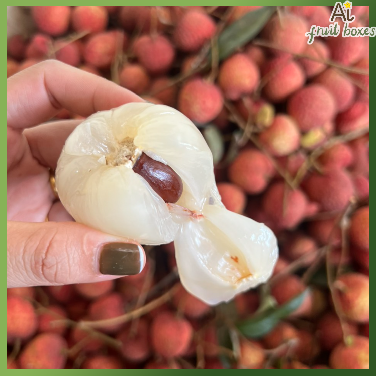 photo 2025 06 05T090731.339