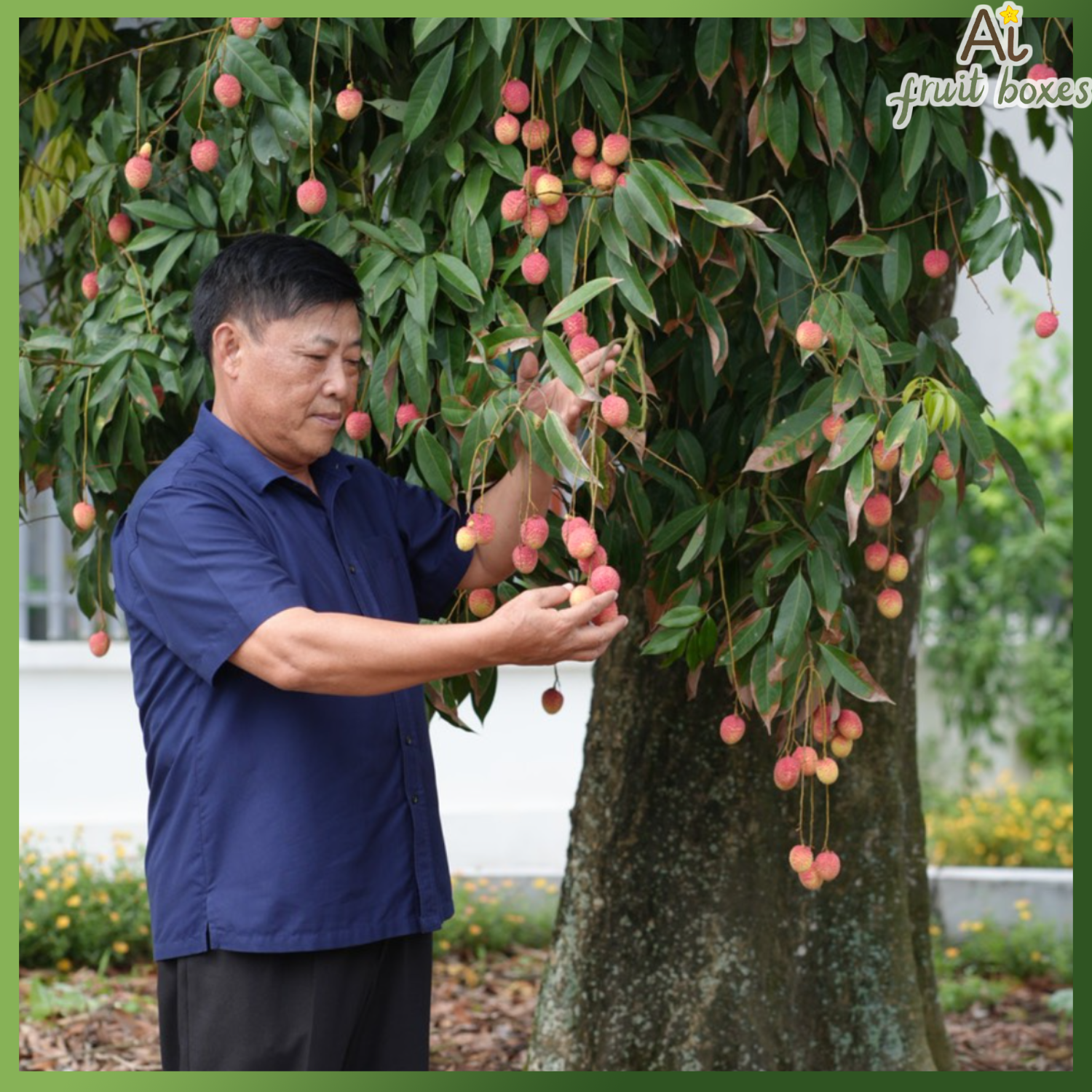 photo 2025 06 05T090758.679