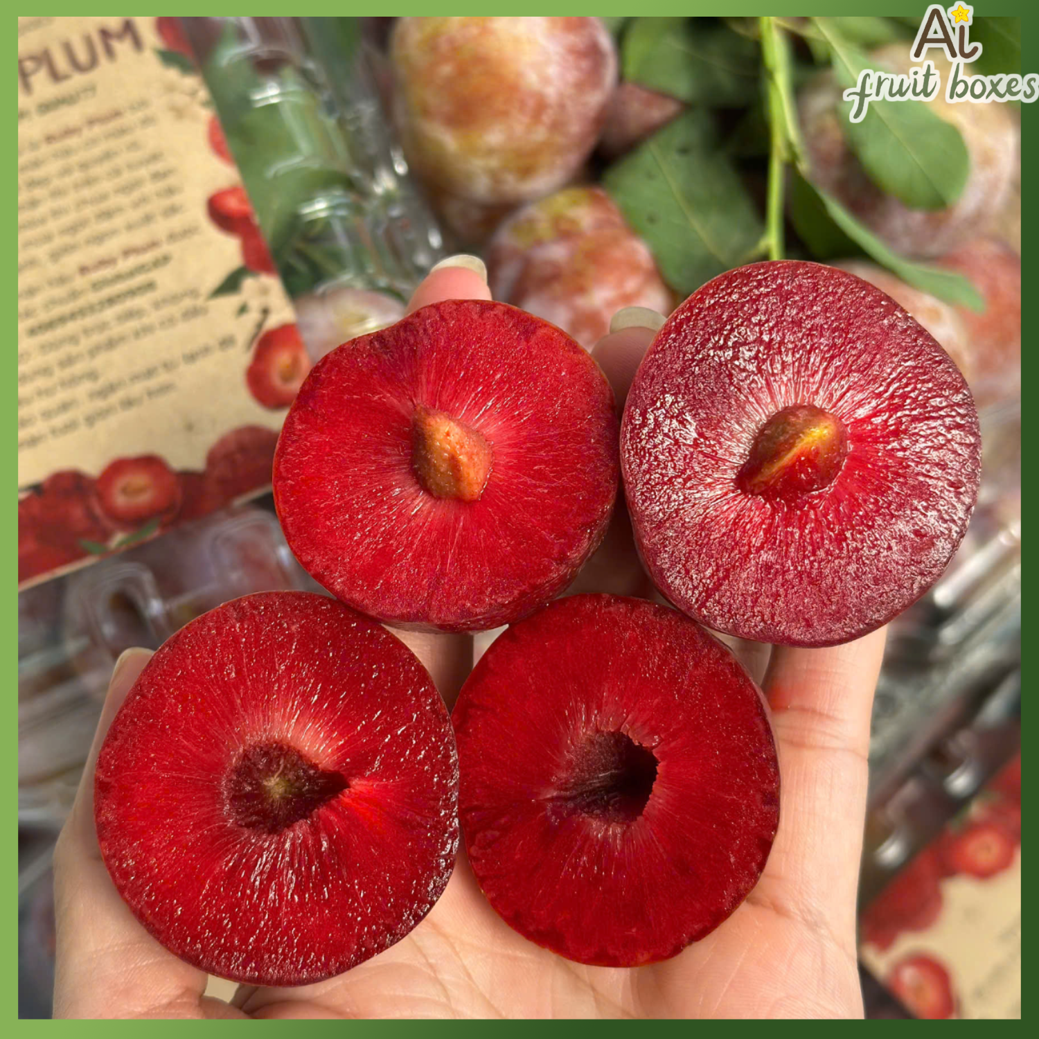 photo 2025 06 16T113015.674