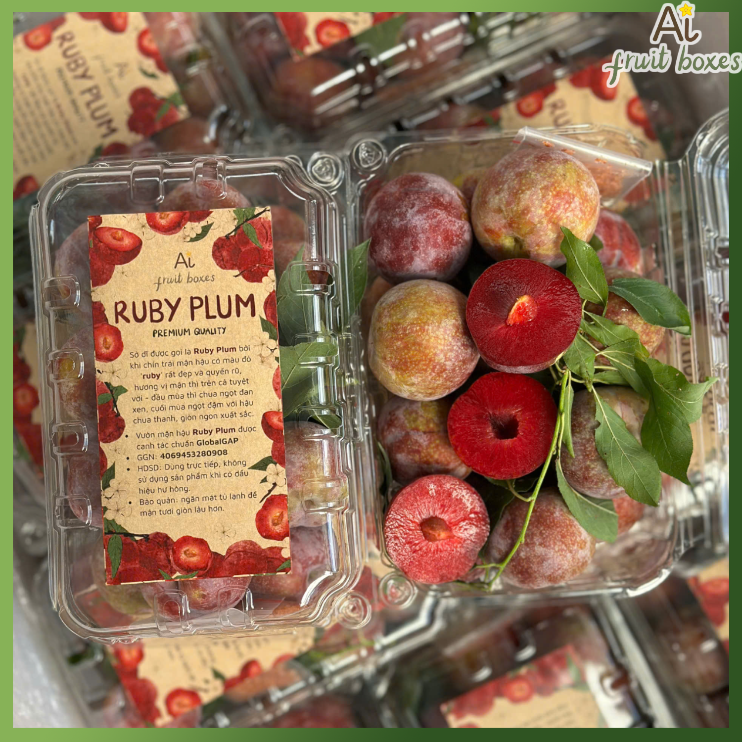 photo 2025 06 16T113102.187