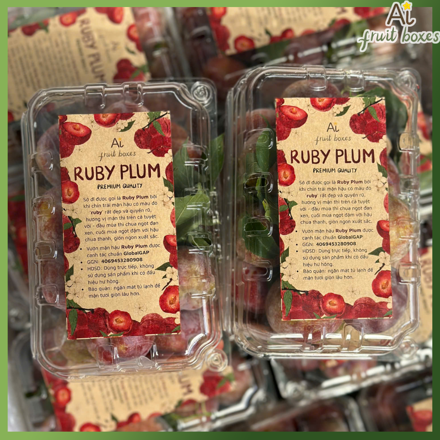 photo 2025 06 16T113203.700