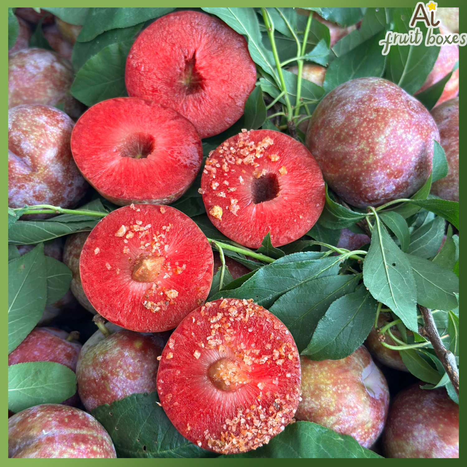 photo 2025 06 16T113300.089