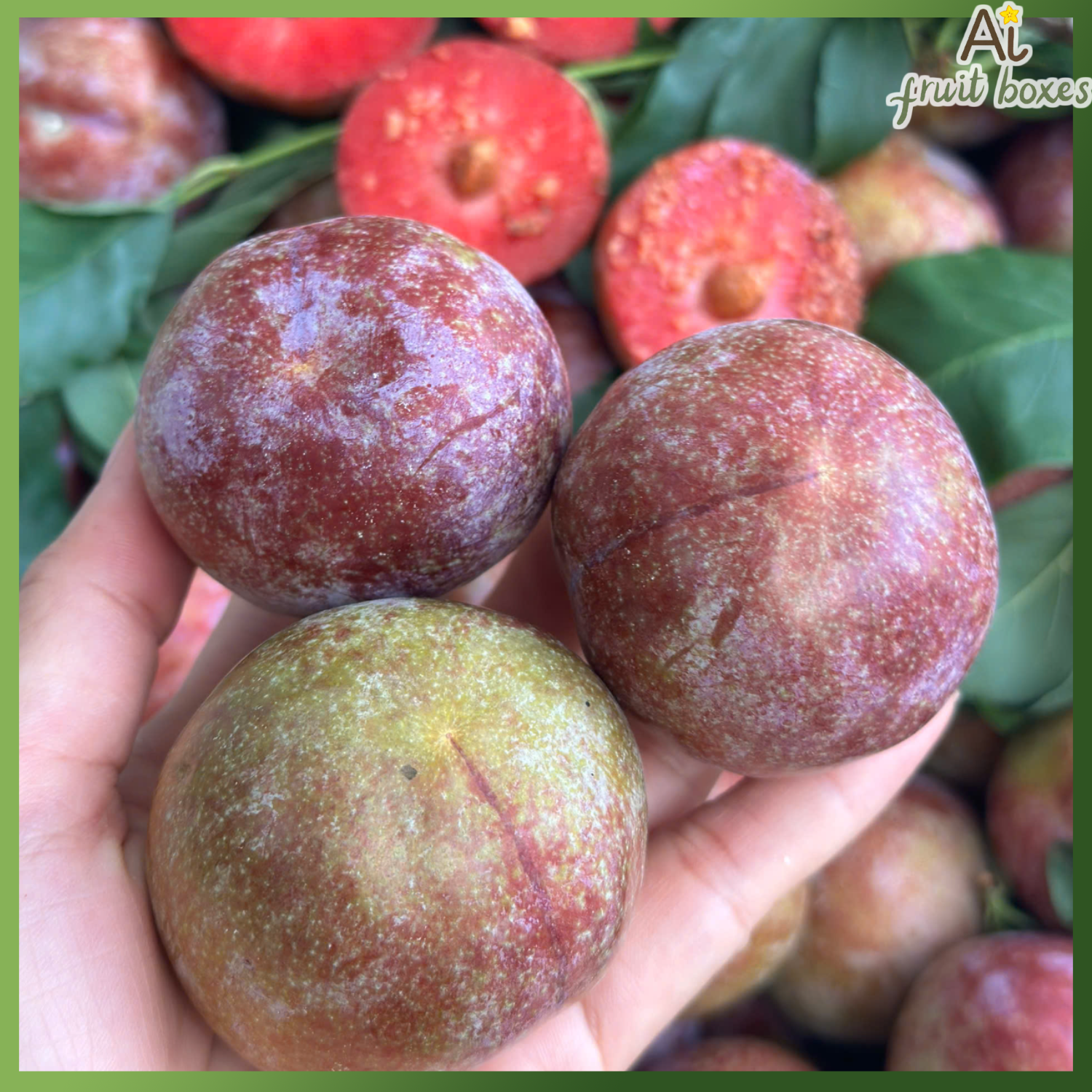 photo 2025 06 16T113324.630