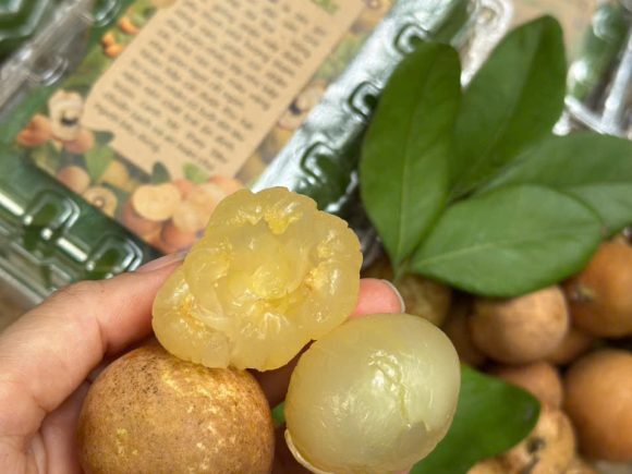 Những tác dụng của quả nhãn: trái cây mùa hè giàu dinh dưỡng