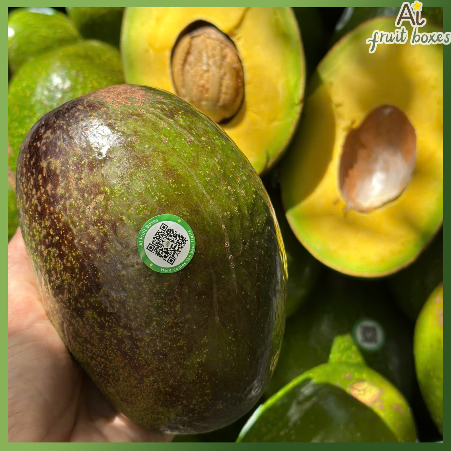 photo 2025 07 09T205259.145